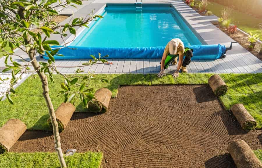 Lush lawn and landscaping installed next to a pool